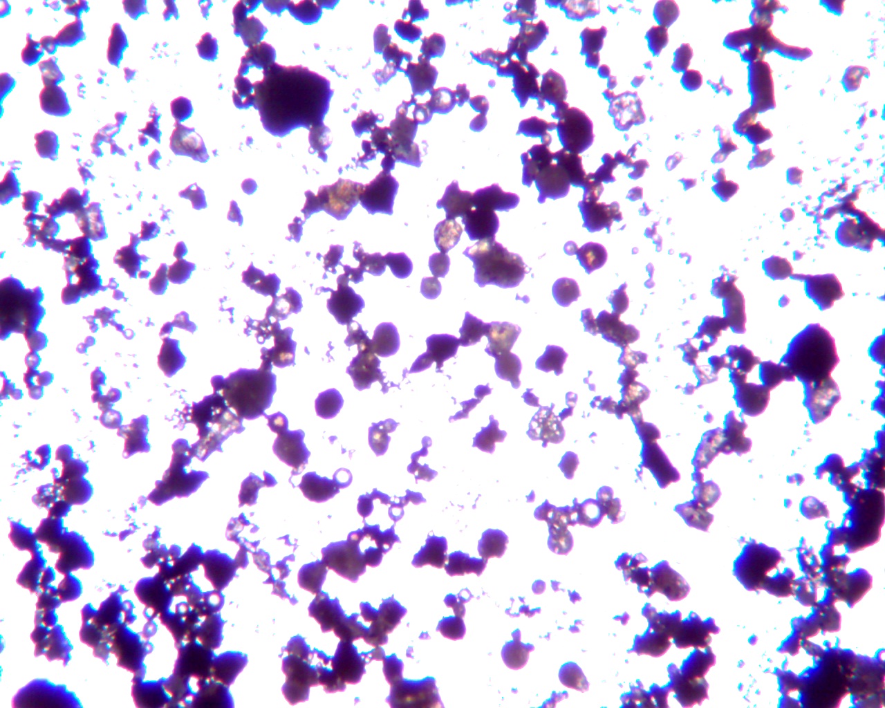 Microscopic view of cenosphere particles from thermal fly ash